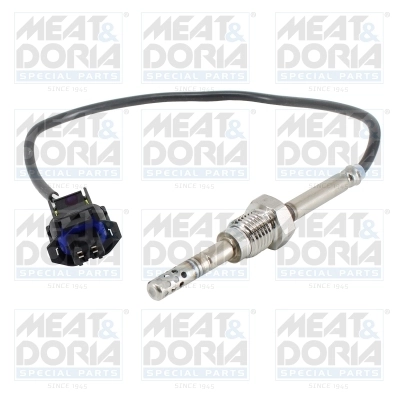 Sensor, exhaust gas temperature